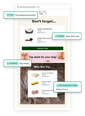 Trigger targeted emails on a one-to-one level
